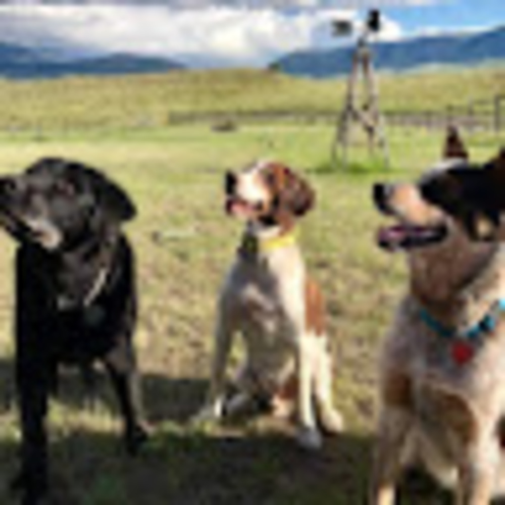 Meet your Posher, Jill